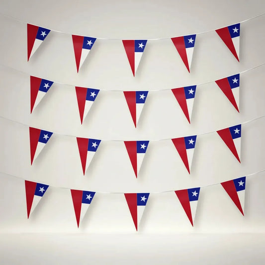 BANDERINES CHILE